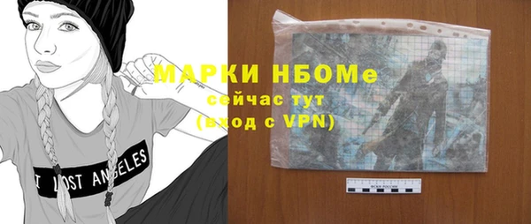 эйфоретик Болотное