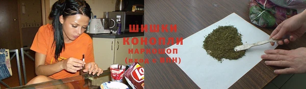 трава Новозыбков