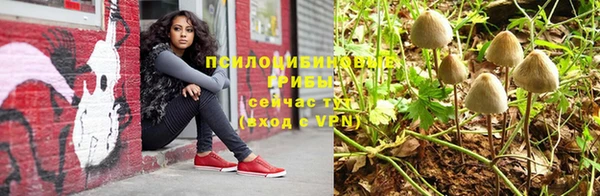 МДМА Новодвинск