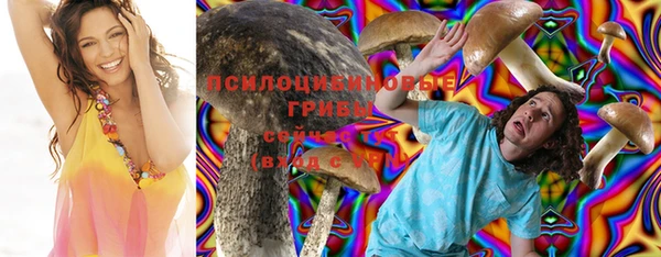 трава Новозыбков