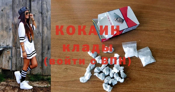 трава Новозыбков