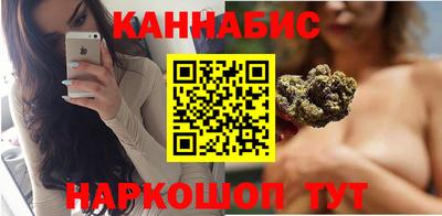 дмт Аргун