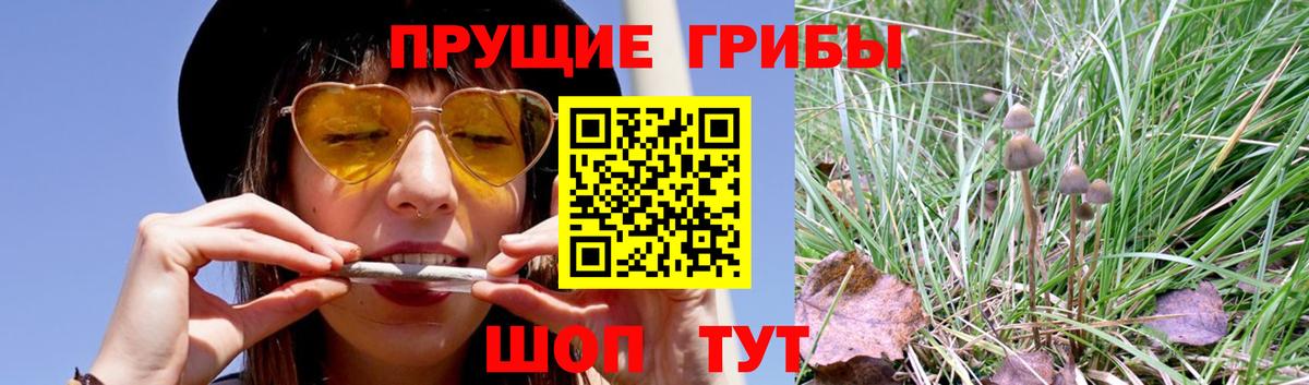 Галлюциногенные грибы мицелий  Белебей 